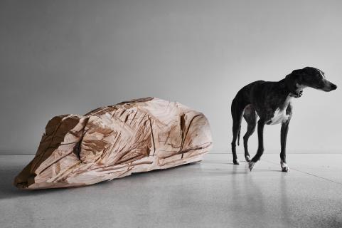 Rocket dog, cèdre, 145 x37 x 45 cm, 2022 Annabelle Hyvrier sculpture