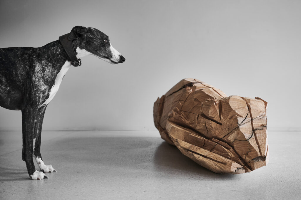 Rocket dog, cèdre, 145 x37 x 45 cm, 2022 Annabelle Hyvrier sculpture